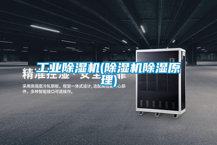 工業(yè)除濕機(jī)(除濕機(jī)除濕原理)