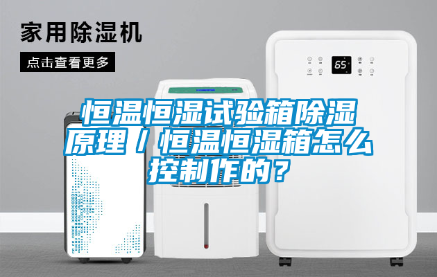 恒溫恒濕試驗(yàn)箱除濕原理／恒溫恒濕箱怎么控制作的？