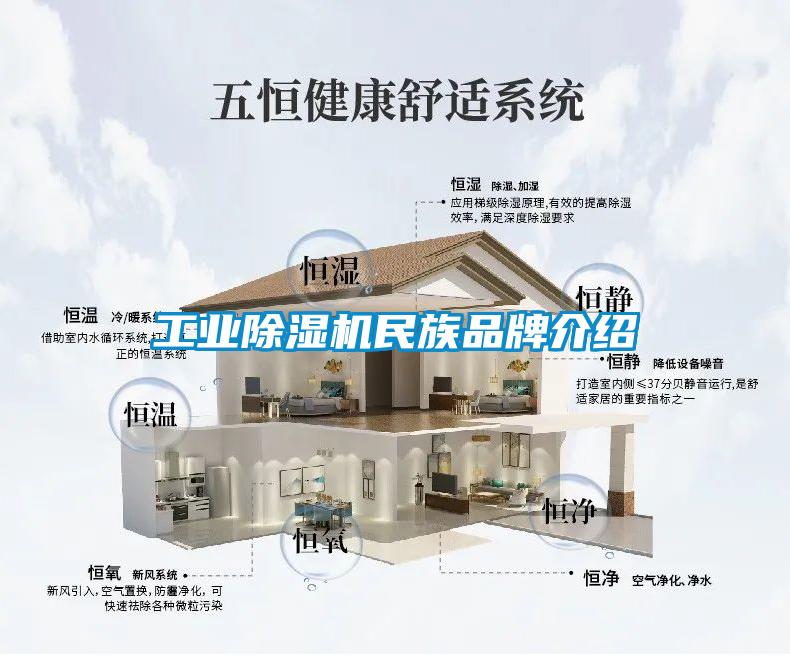 工業(yè)除濕機民族品牌介紹