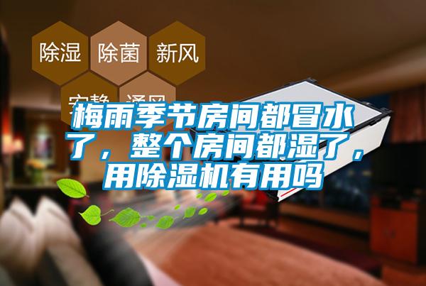梅雨季節(jié)房間都冒水了，整個(gè)房間都濕了，用除濕機(jī)有用嗎