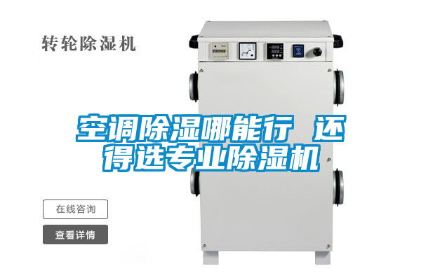 空調(diào)除濕哪能行 還得選專業(yè)除濕機(jī)