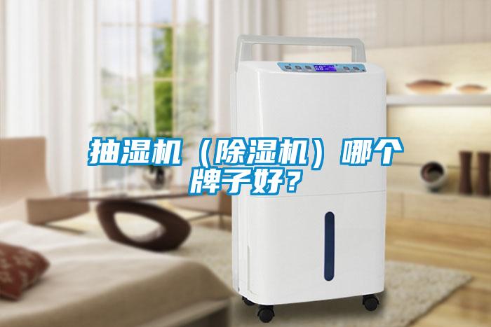 抽濕機（除濕機）哪個牌子好？