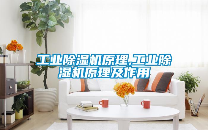 工業(yè)除濕機原理,工業(yè)除濕機原理及作用