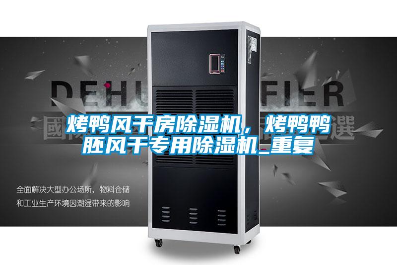 烤鴨風(fēng)干房除濕機(jī)，烤鴨鴨胚風(fēng)干專(zhuān)用除濕機(jī)_重復(fù)