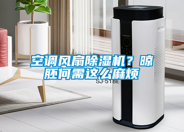 空調(diào)風(fēng)扇除濕機(jī)？晾胚何需這么麻煩