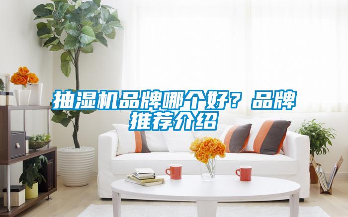 抽濕機(jī)品牌哪個(gè)好？品牌推薦介紹