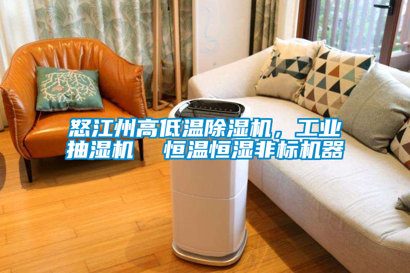怒江州高低溫除濕機(jī)，工業(yè)抽濕機(jī)  恒溫恒濕非標(biāo)機(jī)器
