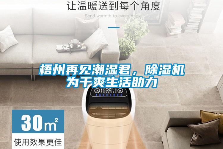 梧州再見潮濕君，除濕機為干爽生活助力