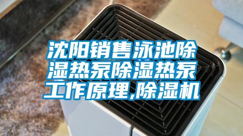 沈陽(yáng)銷售泳池除濕熱泵除濕熱泵工作原理,除濕機(jī)