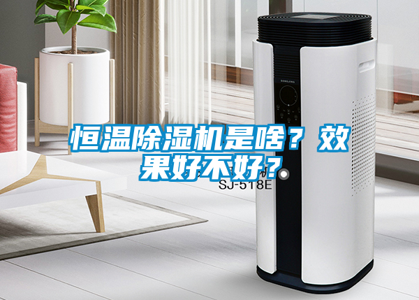 恒溫除濕機(jī)是啥？效果好不好？