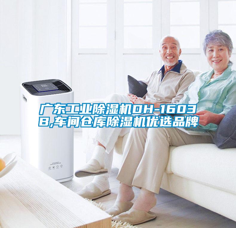 廣東工業(yè)除濕機(jī)DH-1603B,車間倉(cāng)庫(kù)除濕機(jī)優(yōu)選品牌