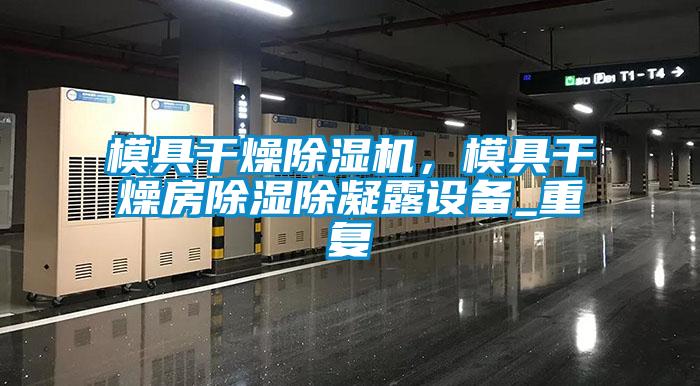 模具干燥除濕機，模具干燥房除濕除凝露設(shè)備_重復(fù)