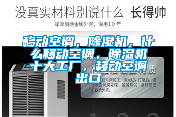 移動空調(diào)，除濕機，什么移動空調(diào)，除濕機十大工廠，移動空調(diào)出口