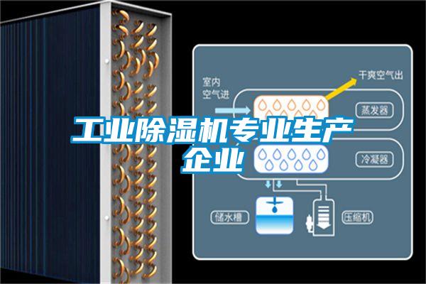 工業(yè)除濕機專業(yè)生產企業(yè)