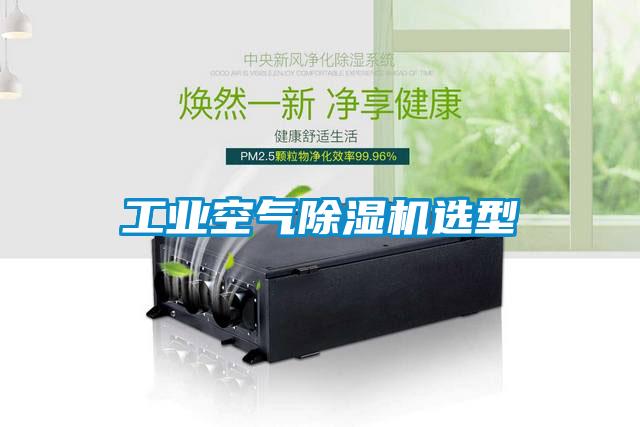 工業(yè)空氣除濕機(jī)選型