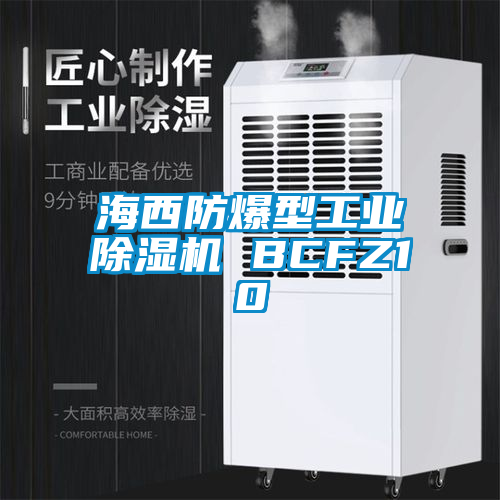 海西防爆型工業(yè)除濕機 BCFZ10
