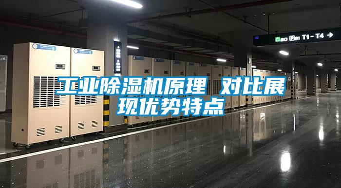 工業(yè)除濕機原理 對比展現(xiàn)優(yōu)勢特點