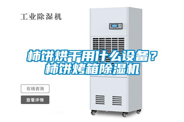 柿餅烘干用什么設(shè)備？柿餅烤箱除濕機(jī)
