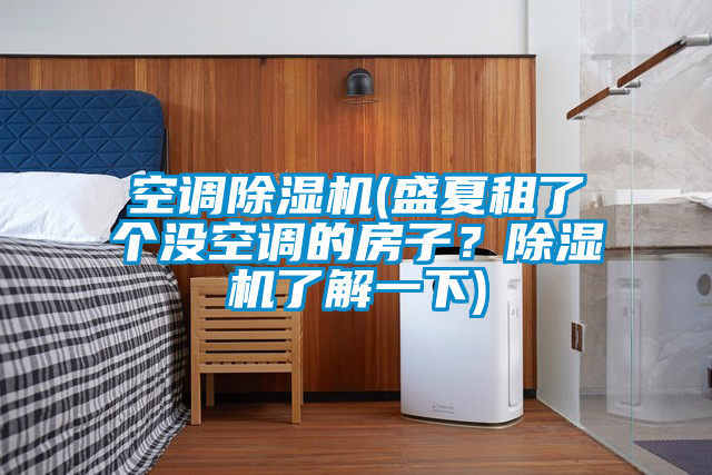 空調(diào)除濕機(盛夏租了個沒空調(diào)的房子？除濕機了解一下)
