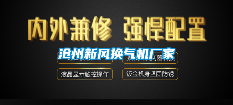 滄州新風(fēng)換氣機廠家