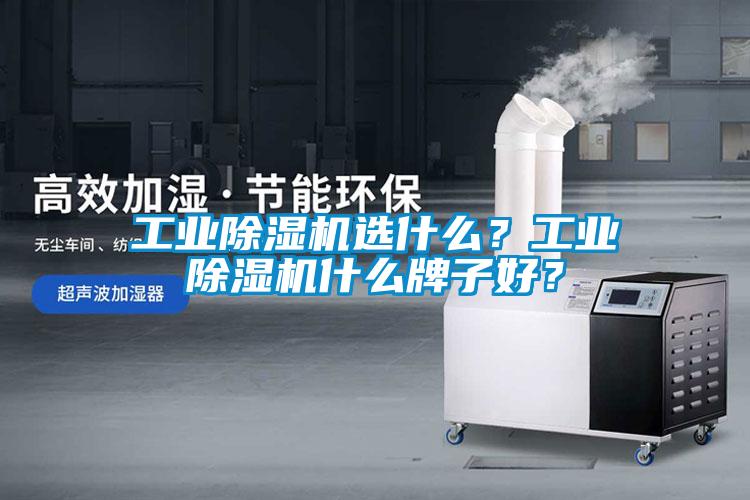 工業(yè)除濕機(jī)選什么？工業(yè)除濕機(jī)什么牌子好？