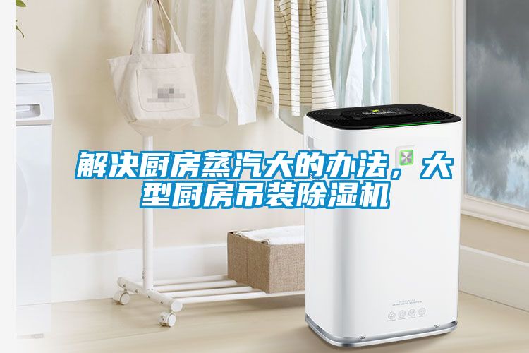 解決廚房蒸汽大的辦法，大型廚房吊裝除濕機(jī)