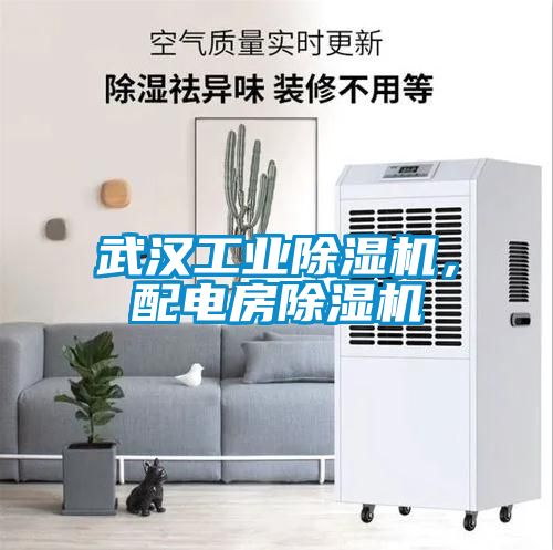 武漢工業(yè)除濕機，配電房除濕機