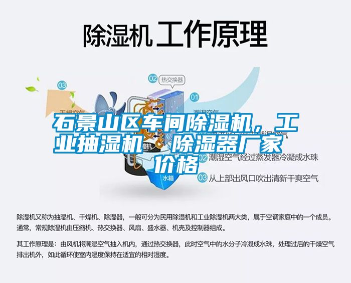 石景山區(qū)車間除濕機，工業(yè)抽濕機  除濕器廠家 價格