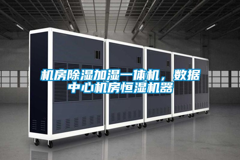 機(jī)房除濕加濕一體機(jī)，數(shù)據(jù)中心機(jī)房恒濕機(jī)器