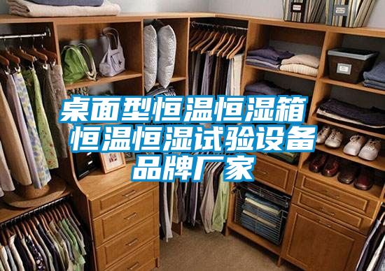 桌面型恒溫恒濕箱 恒溫恒濕試驗(yàn)設(shè)備品牌廠家