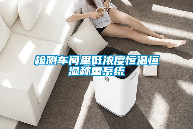 檢測(cè)車(chē)間里低濃度恒溫恒濕稱(chēng)重系統(tǒng)