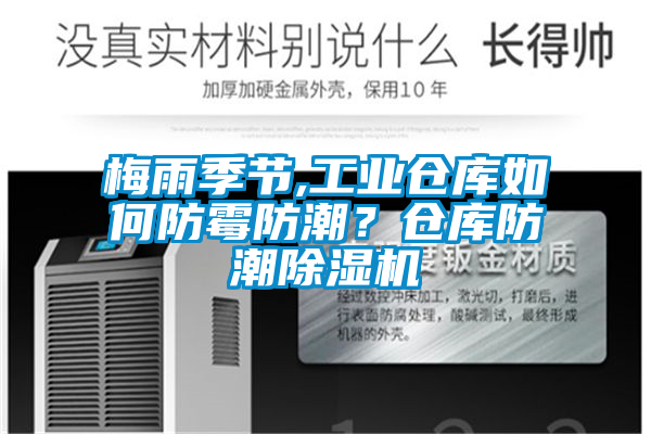 梅雨季節(jié),工業(yè)倉庫如何防霉防潮？倉庫防潮除濕機