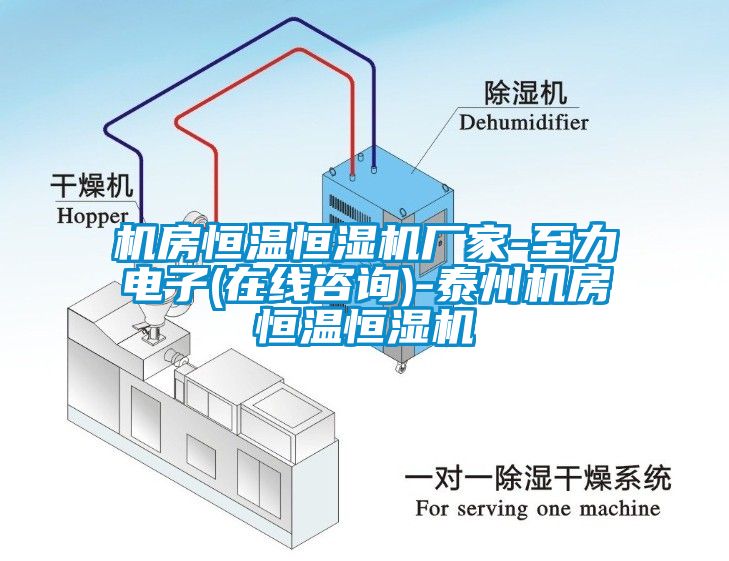 機(jī)房恒溫恒濕機(jī)廠家-至力電子(在線(xiàn)咨詢(xún))-泰州機(jī)房恒溫恒濕機(jī)