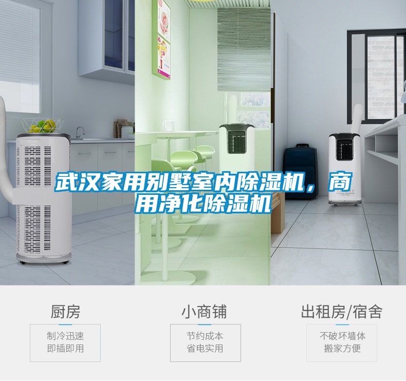 武漢家用別墅室內(nèi)除濕機(jī)，商用凈化除濕機(jī)