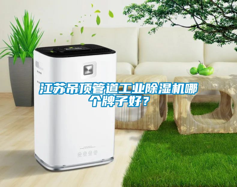 江蘇吊頂管道工業(yè)除濕機(jī)哪個牌子好？