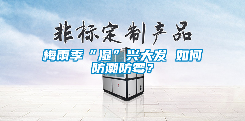 梅雨季“濕”興大發(fā) 如何防潮防霉？