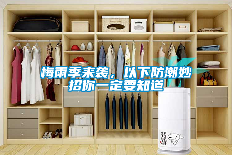 梅雨季來襲，以下防潮妙招你一定要知道