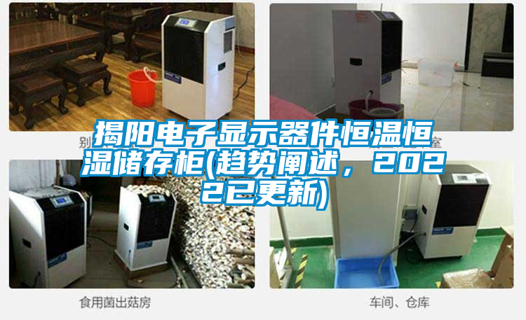揭陽電子顯示器件恒溫恒濕儲存柜(趨勢闡述，2022已更新)