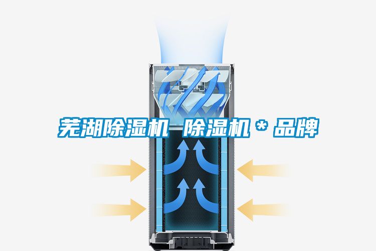 蕪湖除濕機(jī) 除濕機(jī)＊品牌