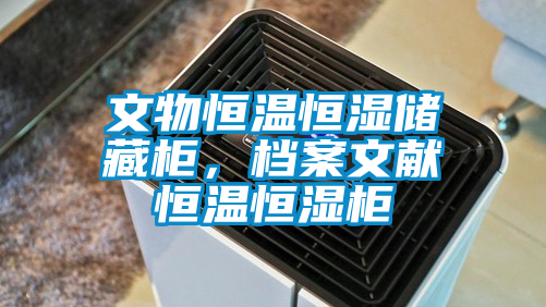 文物恒溫恒濕儲藏柜，檔案文獻(xiàn)恒溫恒濕柜