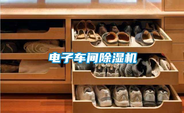電子車間除濕機(jī)