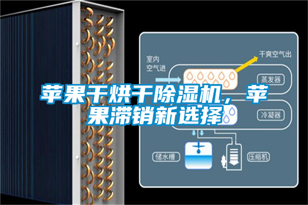 蘋果干烘干除濕機(jī)，蘋果滯銷新選擇