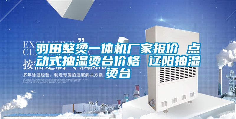 羽田整燙一體機(jī)廠家報(bào)價(jià) 點(diǎn)動(dòng)式抽濕燙臺(tái)價(jià)格 遼陽(yáng)抽濕燙臺(tái)