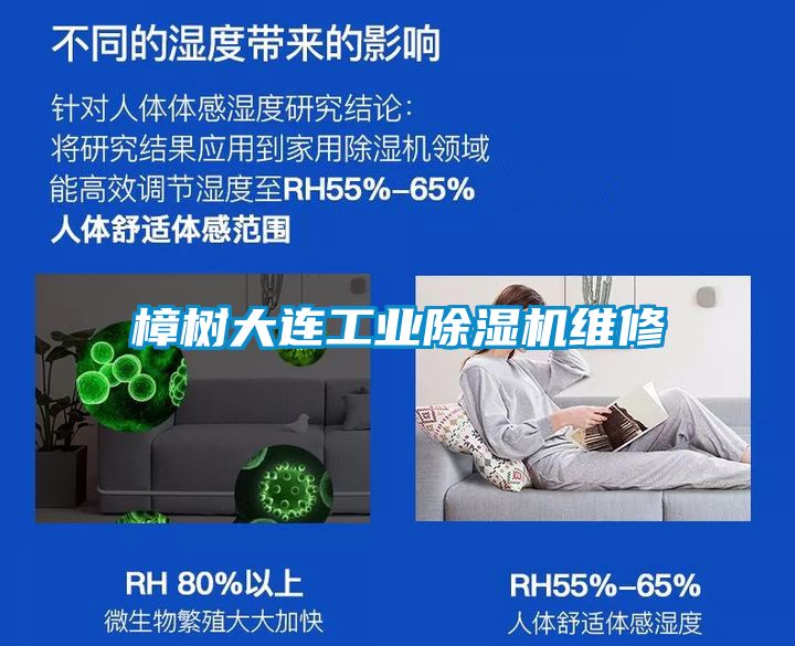 樟樹大連工業(yè)除濕機維修