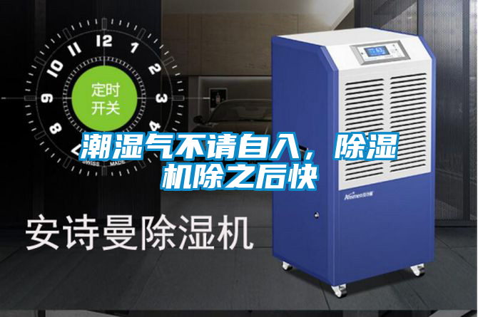 潮濕氣不請自入，除濕機除之后快