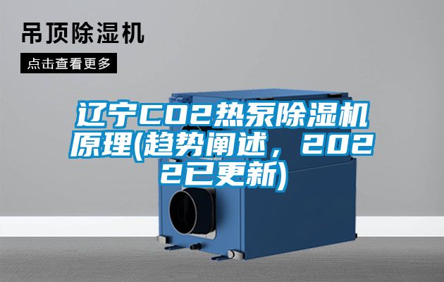 遼寧CO2熱泵除濕機(jī)原理(趨勢(shì)闡述，2022已更新)