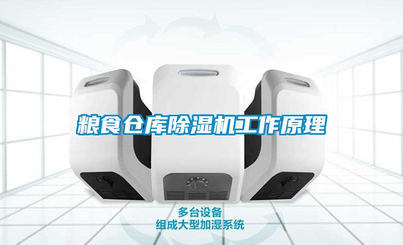 糧食倉庫除濕機(jī)工作原理