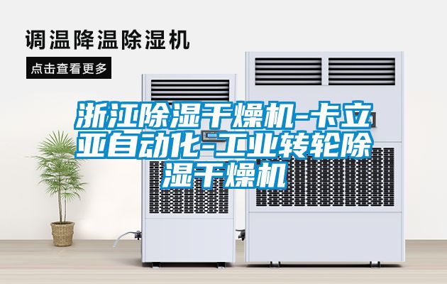 浙江除濕干燥機-卡立亞自動化-工業(yè)轉(zhuǎn)輪除濕干燥機