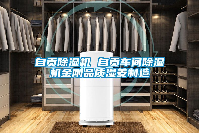 自貢除濕機(jī) 自貢車間除濕機(jī)金剛品質(zhì)濕菱制造