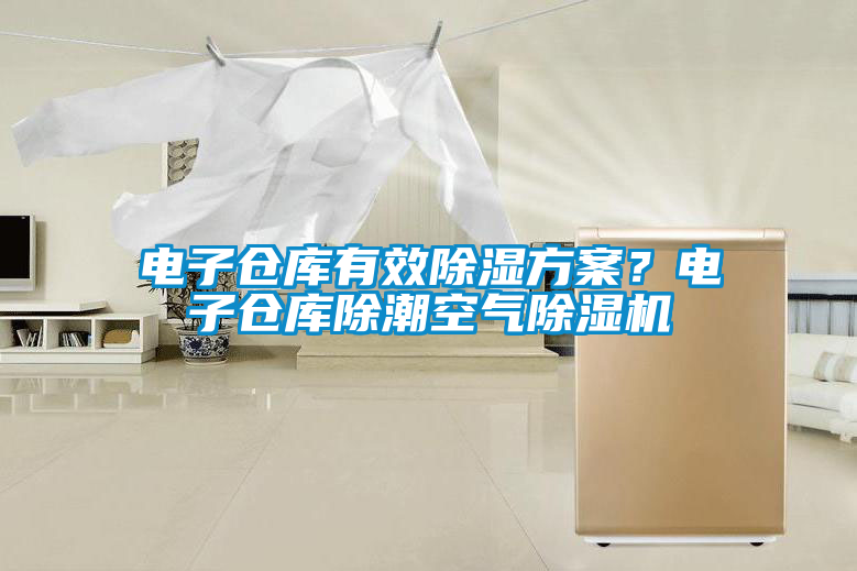 電子倉庫有效除濕方案？電子倉庫除潮空氣除濕機